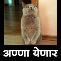 Cat When heared about Anna Yenar Marathi Memes